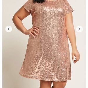 NWT Rose gold shift dress